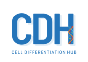 Cell Differentiation Hub